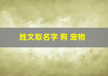 姓文取名字 狗 宠物